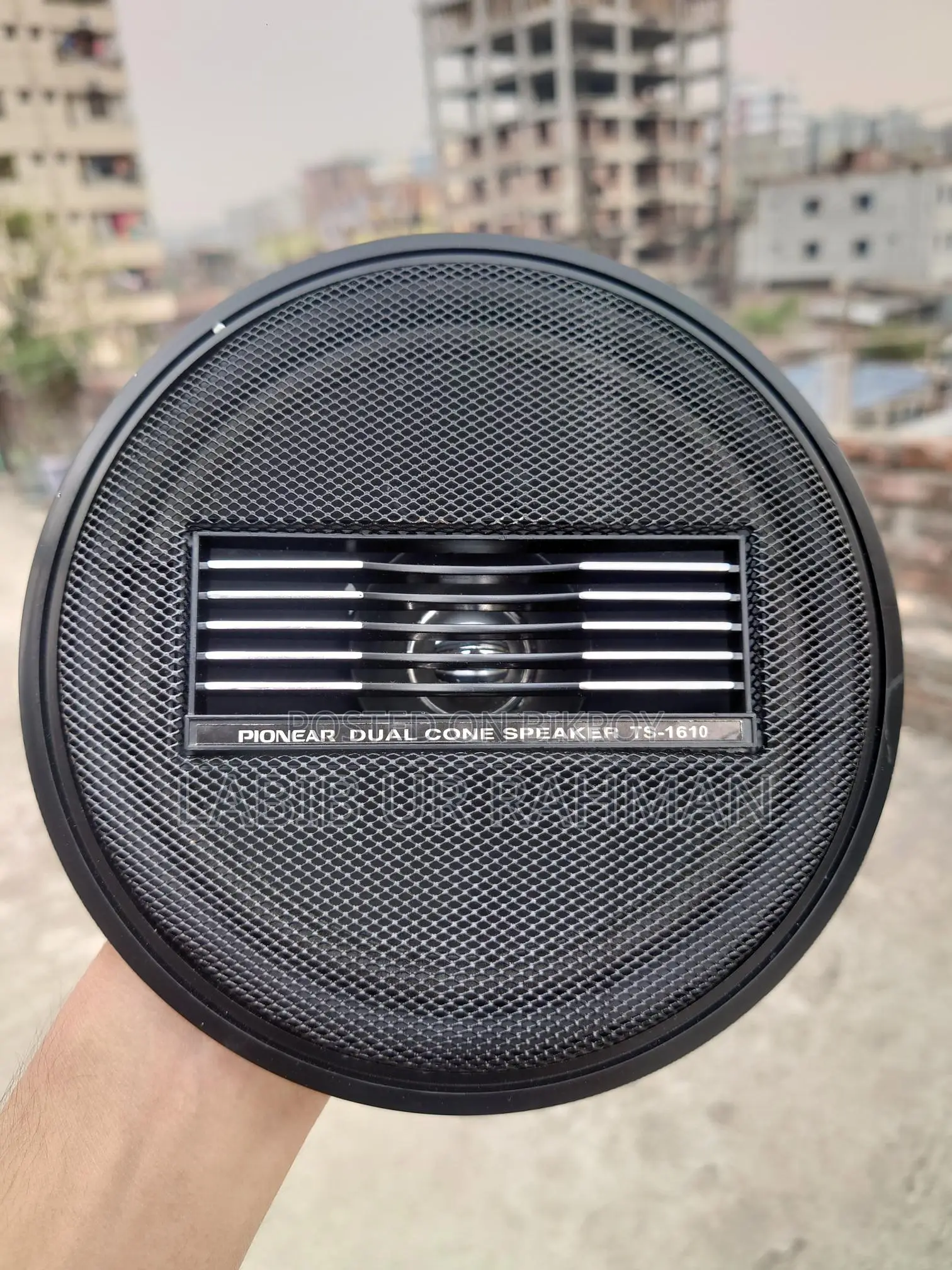Pioneer Dual Cone TS-1610