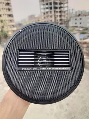 Pioneer Dual Cone TS-1610