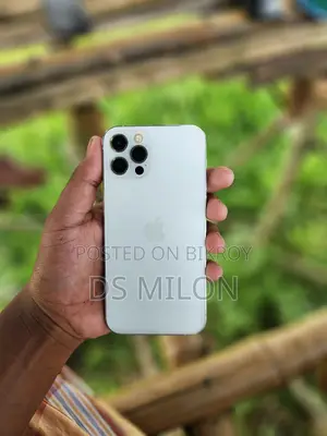 Apple iPhone 12 Pro (Used)