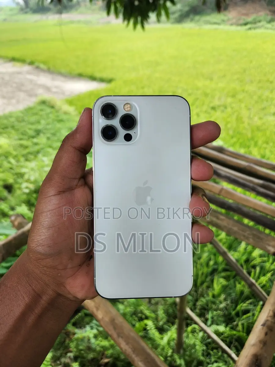 Apple iPhone 12 Pro (Used)