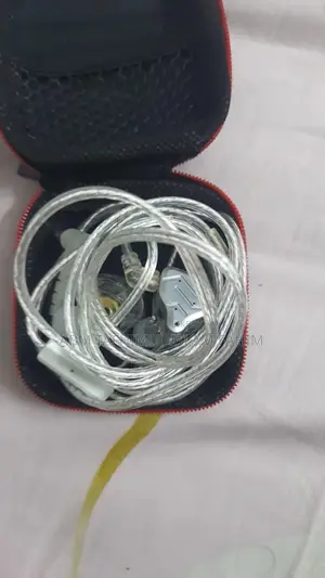 KZ ZSN PRO 2 (6 MONTHS WARRANTY)