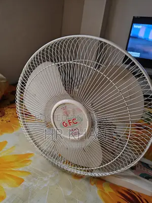 জিএফসি গুজরাট পাকিস্তানী ফ্যান