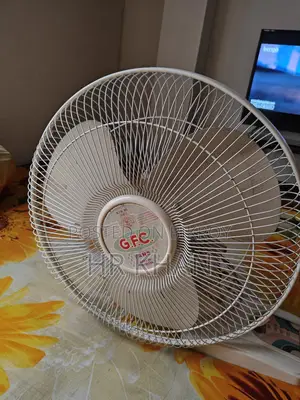 জিএফসি গুজরাট পাকিস্তানী ফ্যান