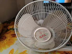 জিএফসি গুজরাট পাকিস্তানী ফ্যান