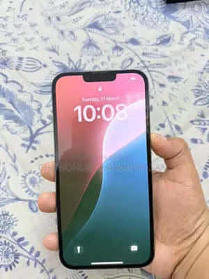 Apple iPhone 13 Pro Max (Used)