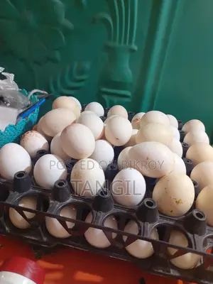 দেশি মুরগির ডিম