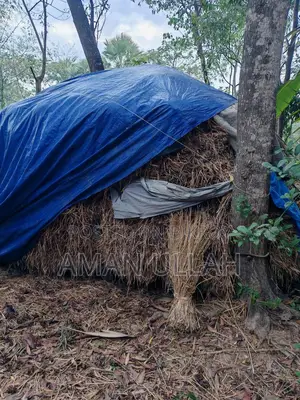 খড় বিক্রি করা হবে