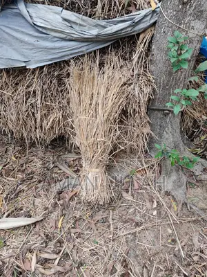 Straw for sale