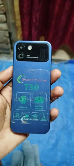 Geo T30 (Used)