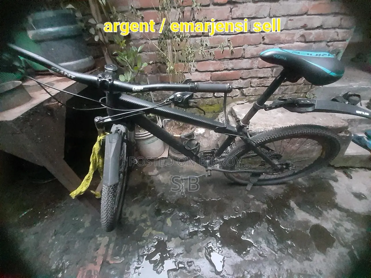 Phoenix সাইকেল বিক্রি হবে