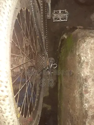 Phoenix সাইকেল বিক্রি হবে