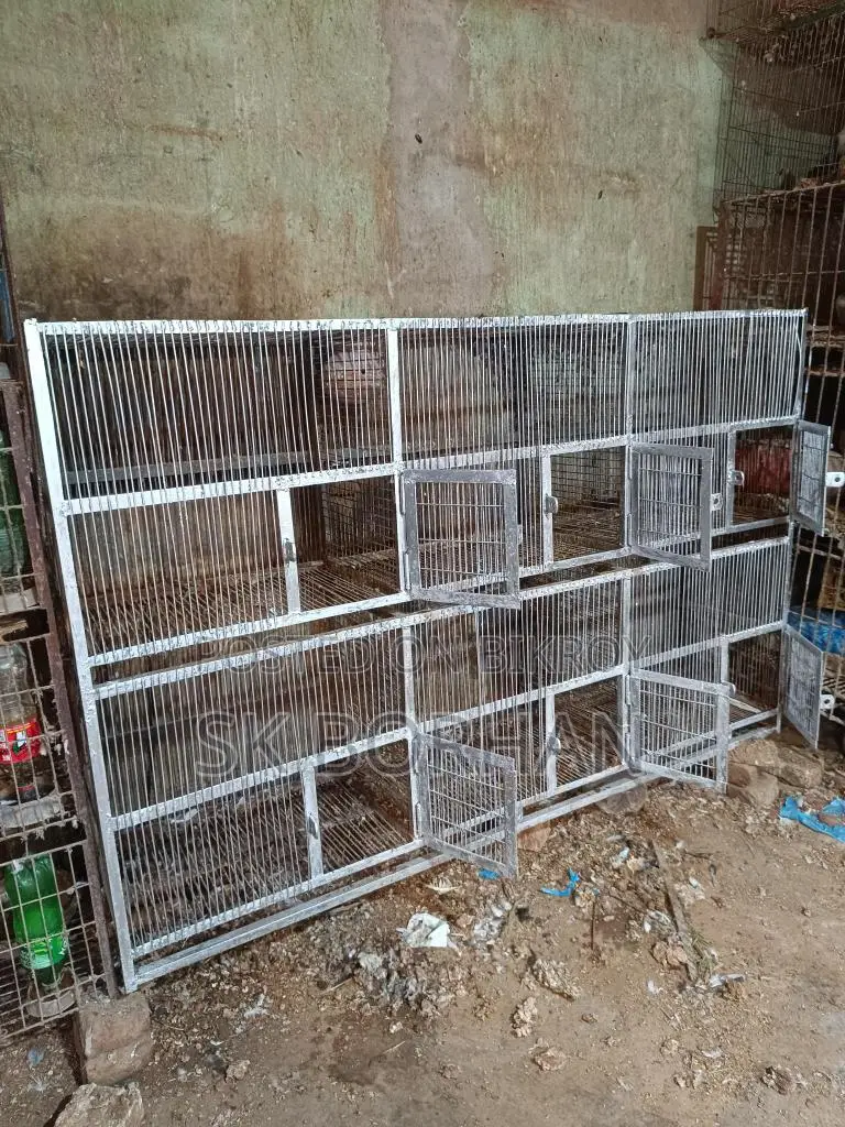 পাখি এবং কবুতরের জন্য আদর্শ ছয় খোপের খাঁচা