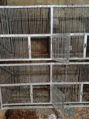 পাখি এবং কবুতরের জন্য আদর্শ ছয় খোপের খাঁচা