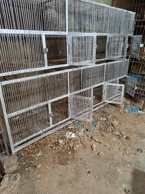 পাখি এবং কবুতরের জন্য আদর্শ ছয় খোপের খাঁচা