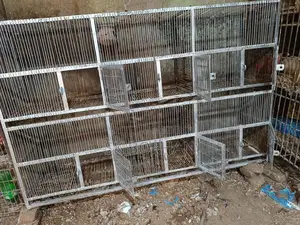 পাখি এবং কবুতরের জন্য আদর্শ ছয় খোপের খাঁচা