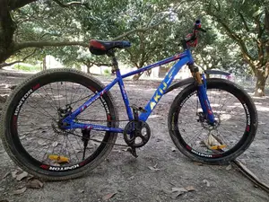 Bicycle for Sale