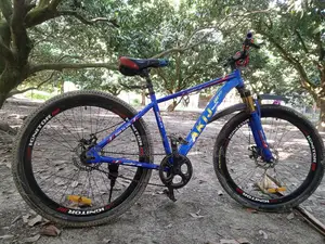 Bicycle for Sale