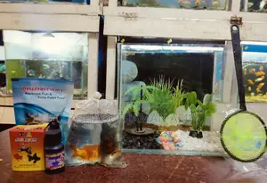New Aquarium for Sale