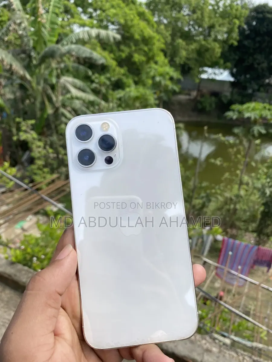 অ্যাপল আইফোন ১২ প্রো ম্যাক্স ২৫৬ (ব্যবহৃত)