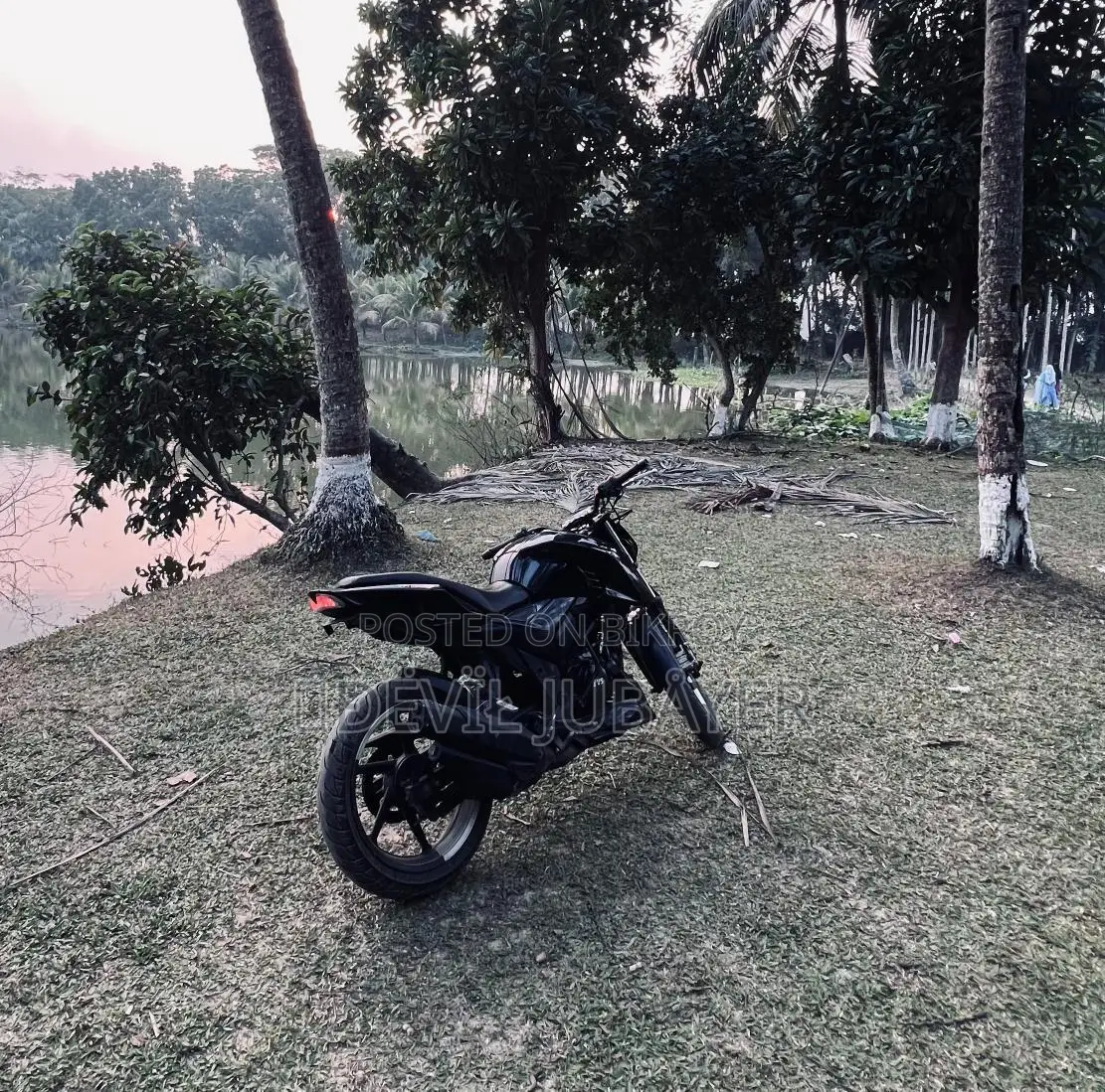TVS ADV . 2019