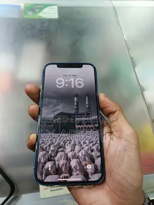 Apple iPhone 12 (Used)