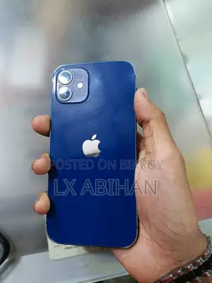 Apple iPhone 12 (Used)