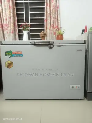 Dip Refrigerator 300 Liter