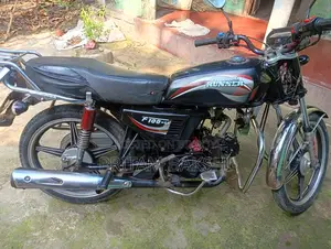 Runner F-100 6A . 2016