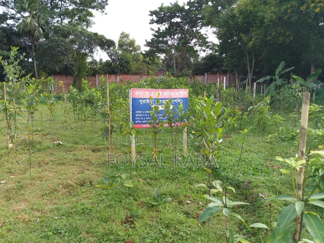 11 Katha high-land for sale on Dhaka-Kapasia highway branch road.