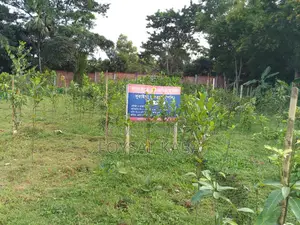 11 Katha high-land for sale on Dhaka-Kapasia highway branch road.