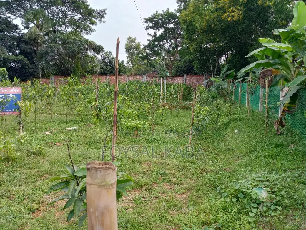 11 Katha high-land for sale on Dhaka-Kapasia highway branch road.