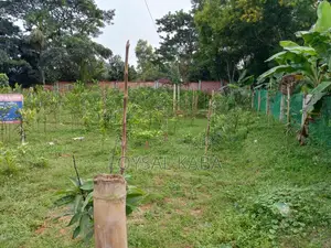 11 Katha high-land for sale on Dhaka-Kapasia highway branch road.