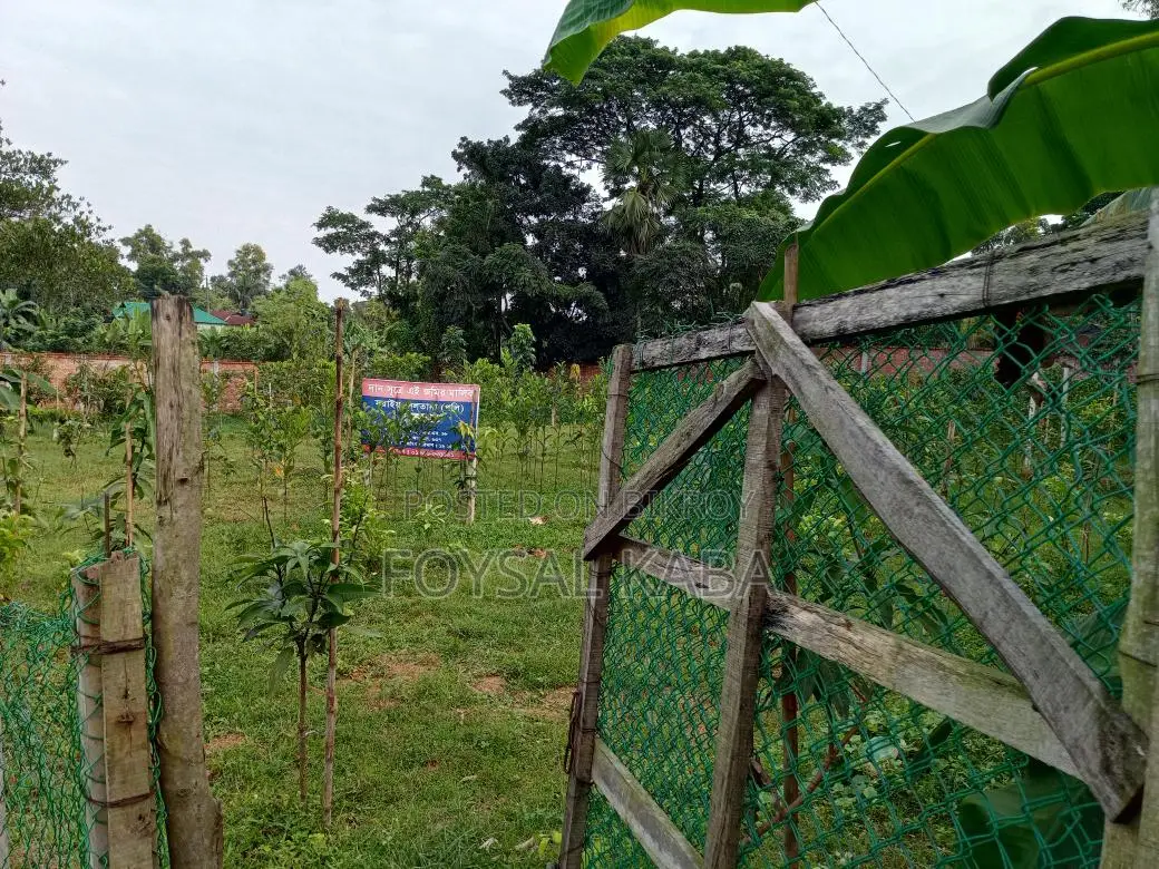 11 Katha high-land for sale on Dhaka-Kapasia highway branch road.