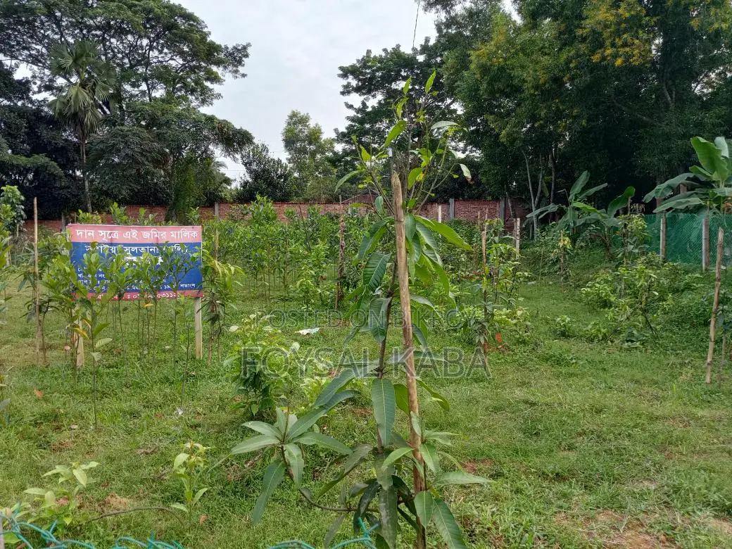 11 Katha high-land for sale on Dhaka-Kapasia highway branch road.