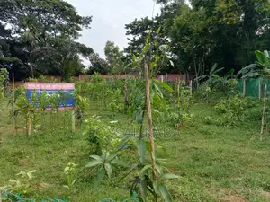 11 Katha high-land for sale on Dhaka-Kapasia highway branch road.