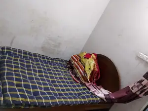 খুব ভালো মানের কাঠ