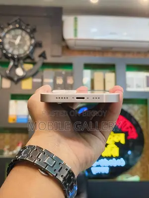 Apple iPhone 13 128 (Used)