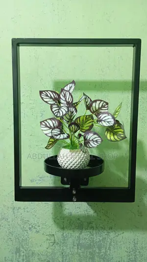 Elegant Wall Decor Shelf