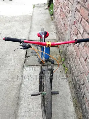 Bicycle Sale
