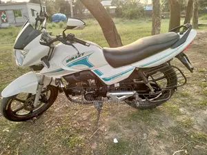 Runner Bullet 100cc 2024