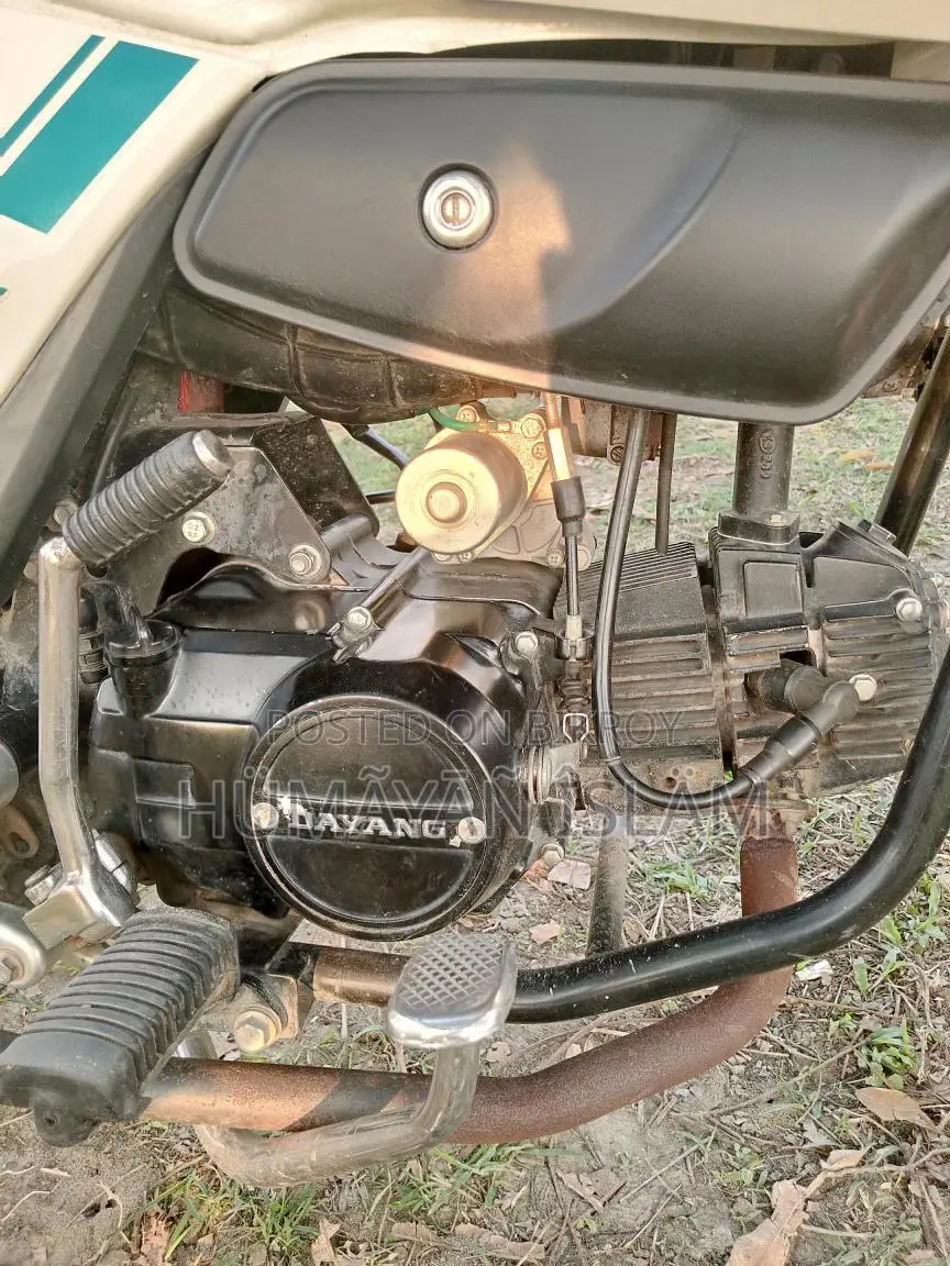 Runner Bullet 100cc 2024