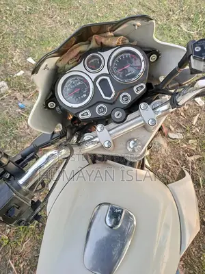 Runner Bullet 100cc 2024