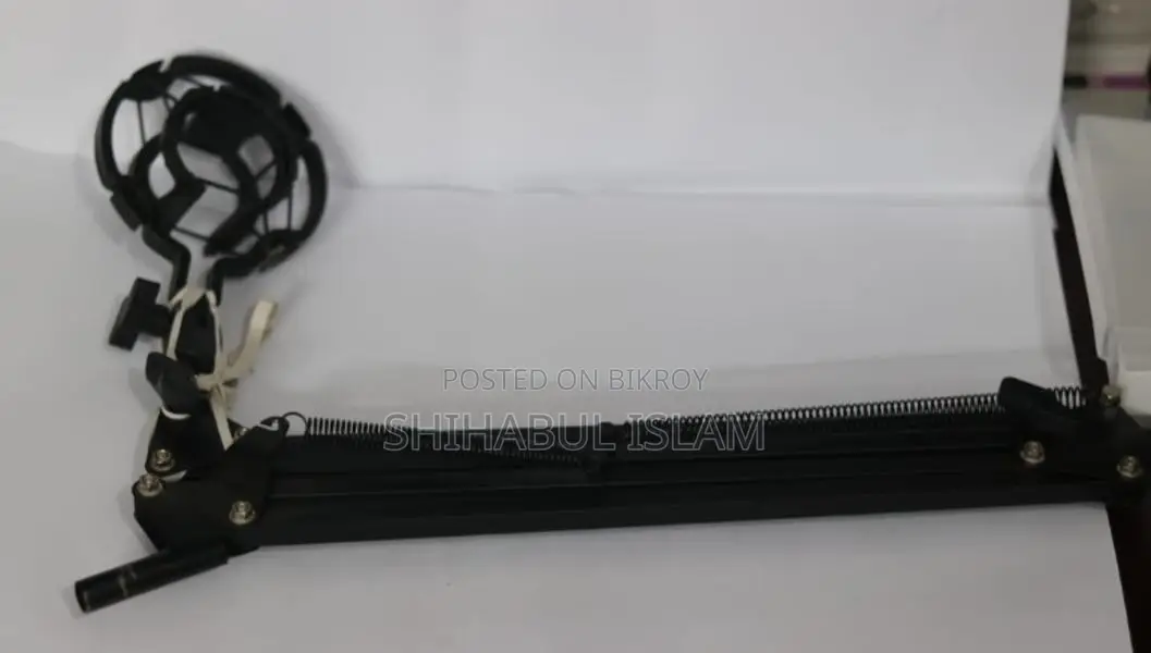 Professional Mic