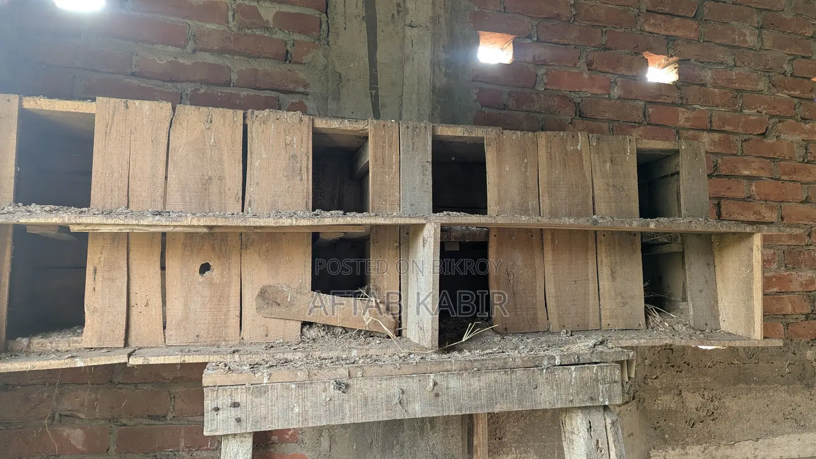 This pigeon house is for sale.