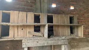 This pigeon house is for sale.