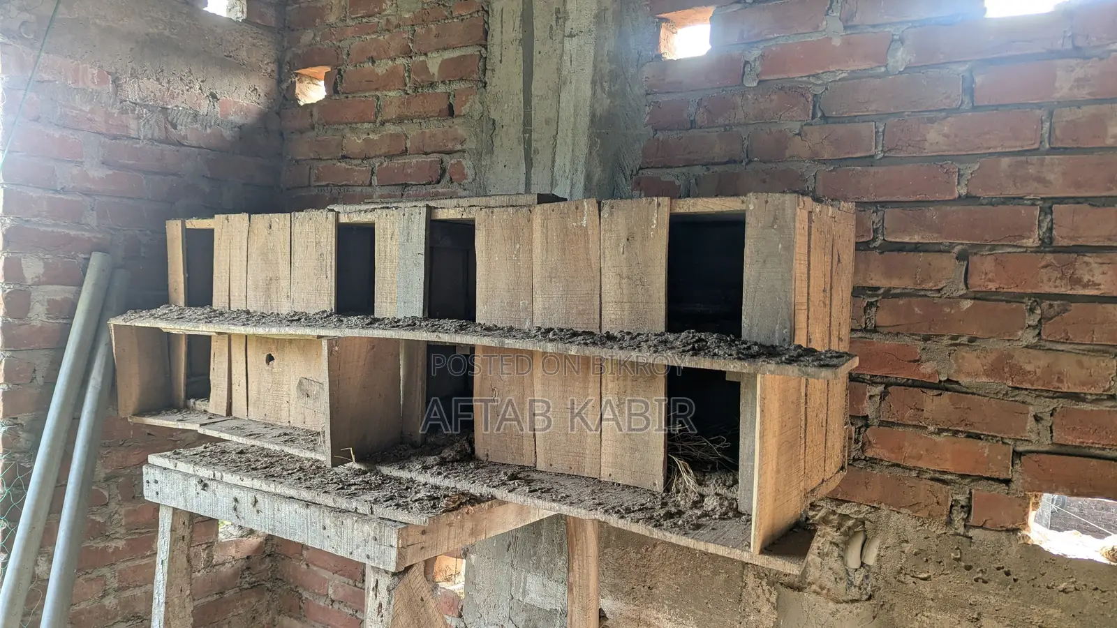 This pigeon house is for sale.