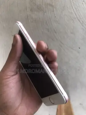 Apple iPhone 6S 64gb (Used)