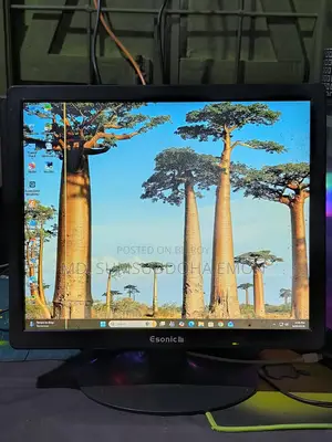 Old Monitor for Sale