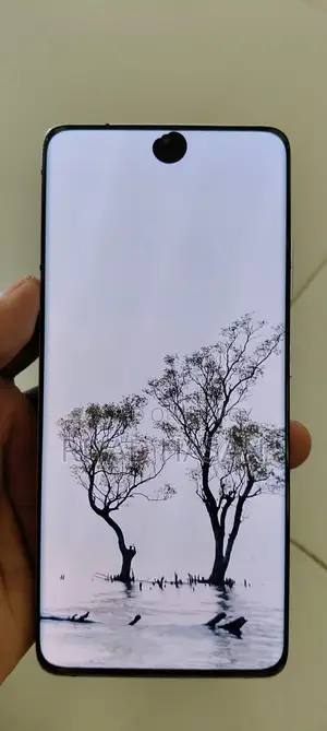 Samsung Galaxy S21 Ultra . (Used)