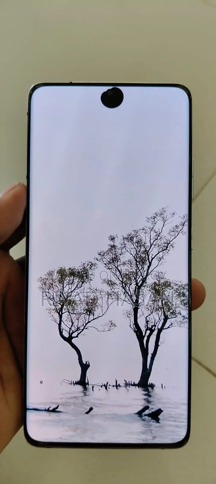 Samsung Galaxy S21 Ultra . (Used)